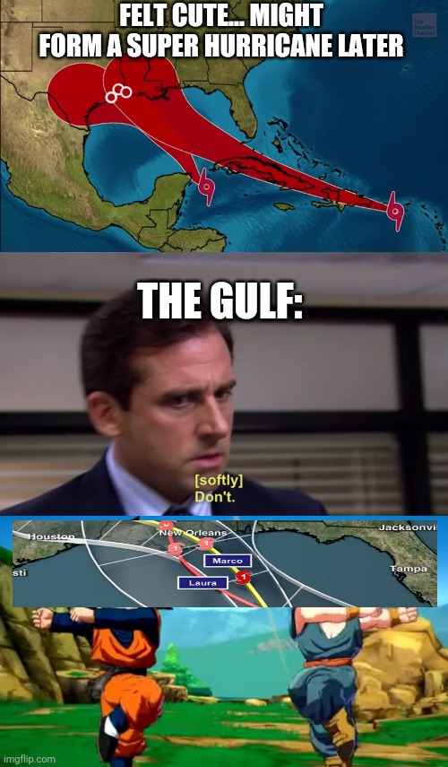 FELT CUTE... MIGHT FORM A SUPER HURRICANE LATER; THE GULF: | image tagged in michael dont,2020 gulf super huricane,marco and laura | made w/ Imgflip meme maker