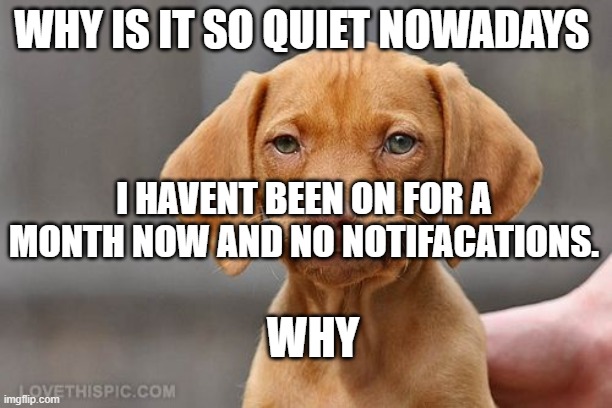 Umm dog | WHY IS IT SO QUIET NOWADAYS; I HAVENT BEEN ON FOR A MONTH NOW AND NO NOTIFACATIONS. WHY | image tagged in umm dog | made w/ Imgflip meme maker