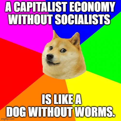 Advice Doge | A CAPITALIST ECONOMY WITHOUT SOCIALISTS; IS LIKE A DOG WITHOUT WORMS. | image tagged in memes,advice doge | made w/ Imgflip meme maker