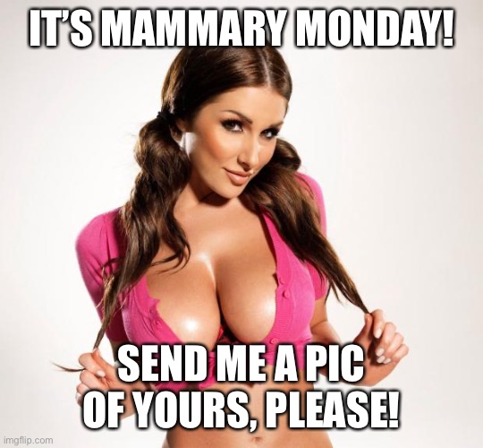 Boobs | IT’S MAMMARY MONDAY! SEND ME A PIC OF YOURS, PLEASE! | image tagged in boobs | made w/ Imgflip meme maker