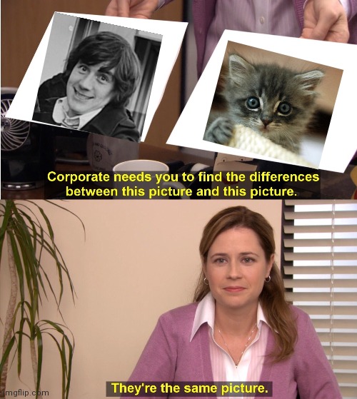 Michael Palin is baby | image tagged in memes,they're the same picture,monty python,kitten | made w/ Imgflip meme maker