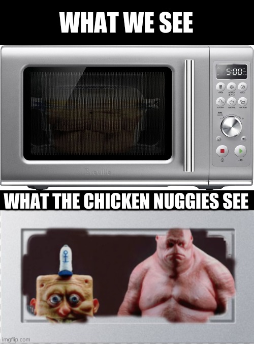 sorry if my photoshop skills aren't great, i'm a little rusty at photoshop | WHAT WE SEE; WHAT THE CHICKEN NUGGIES SEE | image tagged in chicken nuggets,spongebob and patrick,microwave,memes | made w/ Imgflip meme maker