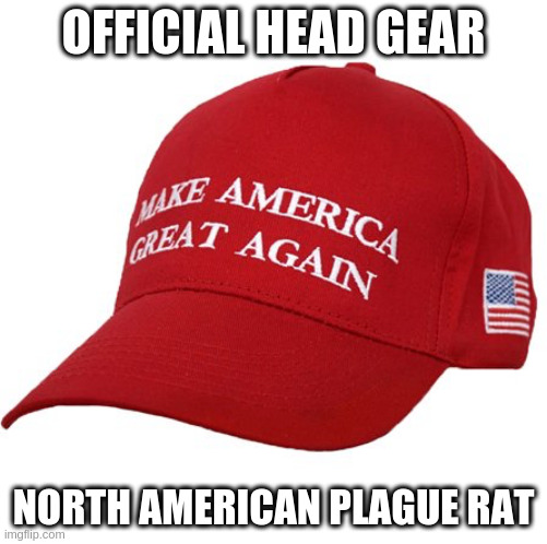 MAGA HAT | OFFICIAL HEAD GEAR; NORTH AMERICAN PLAGUE RAT | image tagged in maga hat | made w/ Imgflip meme maker