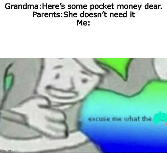 Meme | Grandma:Here’s some pocket money dear.
Parents:She doesn’t need it
Me: | image tagged in excuse me wtf blank template | made w/ Imgflip meme maker
