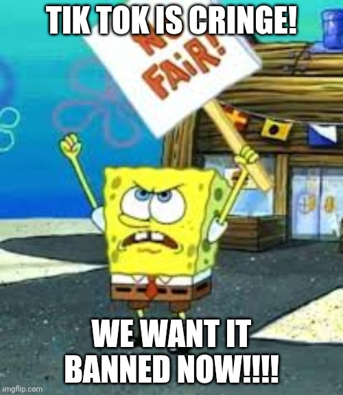 Tik Tok Is Cringe | TIK TOK IS CRINGE! WE WANT IT BANNED NOW!!!! | image tagged in krusty krab is unfair | made w/ Imgflip meme maker