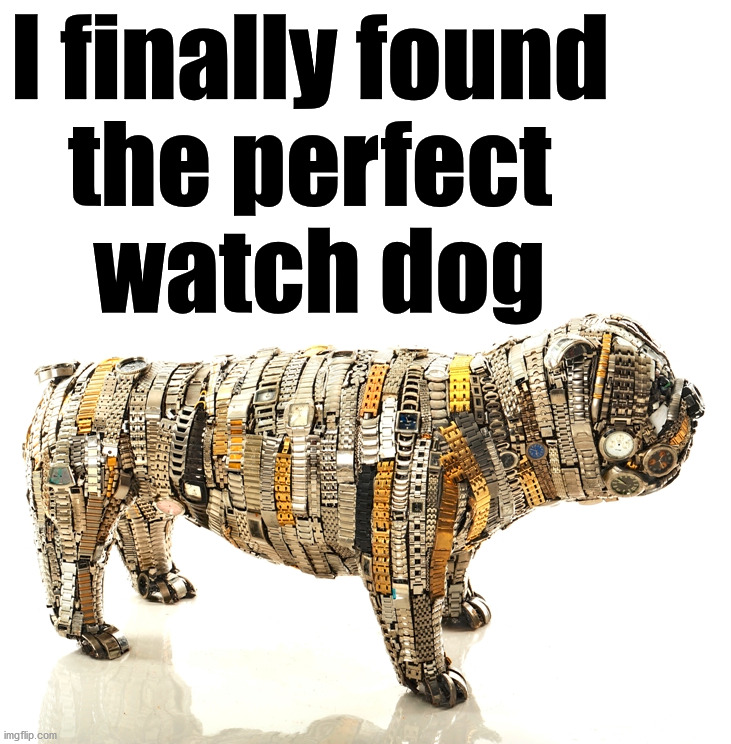 Watch out for puns. |  I finally found 
the perfect 
watch dog | image tagged in watch,dog,bad pun,dad joke dog | made w/ Imgflip meme maker