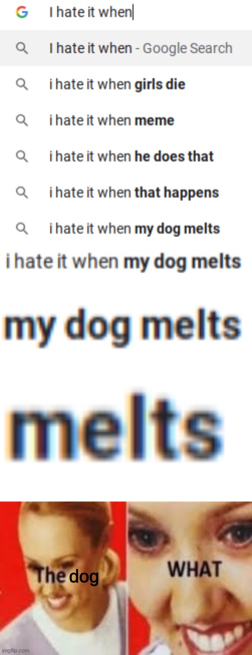 Dangit, my dog melted again | dog | image tagged in google search,confusing | made w/ Imgflip meme maker