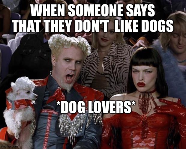 Don't like dogs ?? Memes for you | WHEN SOMEONE SAYS THAT THEY DON'T  LIKE DOGS; *DOG LOVERS* | image tagged in memes,mugatu so hot right now | made w/ Imgflip meme maker