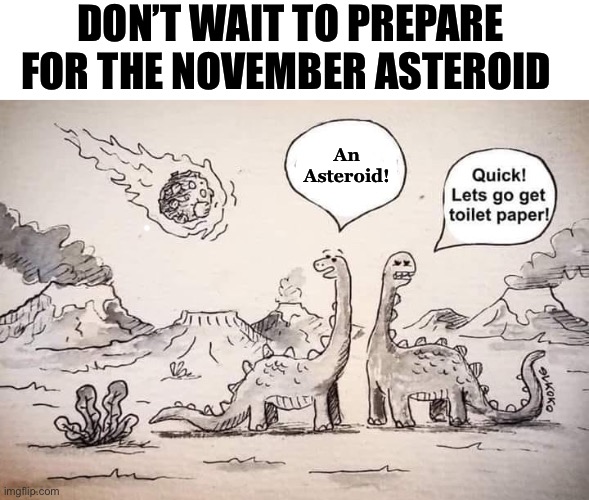 Don’t Wait Like The Dinosaurs Did |  DON’T WAIT TO PREPARE FOR THE NOVEMBER ASTEROID; An Asteroid! | image tagged in memes,2020 sucks,asteroid,one does not simply,first world problems,challenge accepted | made w/ Imgflip meme maker
