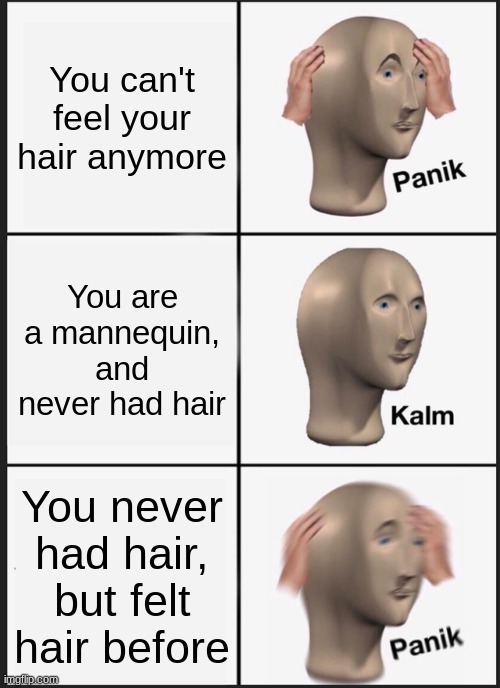 PANIK ATTACK | You can't feel your hair anymore; You are a mannequin, and never had hair; You never had hair, but felt hair before | image tagged in memes,panik kalm panik | made w/ Imgflip meme maker