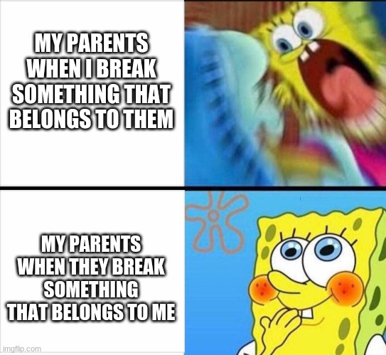Parents logic | MY PARENTS WHEN I BREAK SOMETHING THAT BELONGS TO THEM; MY PARENTS WHEN THEY BREAK SOMETHING THAT BELONGS TO ME | image tagged in parents,logic | made w/ Imgflip meme maker