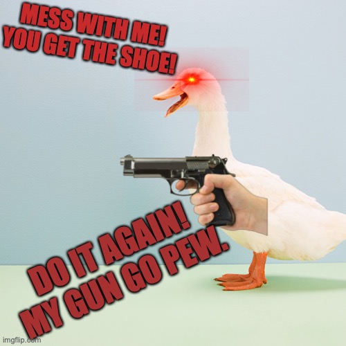 DUCK GOT BUISNESS | MESS WITH ME! YOU GET THE SHOE! DO IT AGAIN! MY GUN GO PEW. | image tagged in duck,guns,shoe,hand,red,eye | made w/ Imgflip meme maker