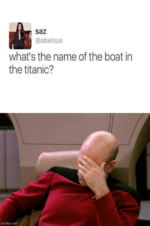 Do #facepalm in chat lol | image tagged in face palm | made w/ Imgflip meme maker