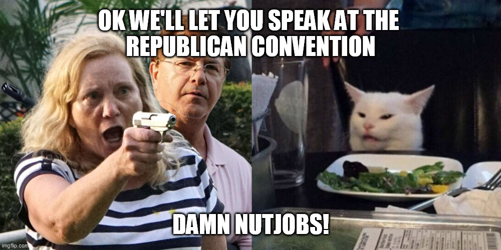 McCloskeys to speak at Republican Convention | OK WE'LL LET YOU SPEAK AT THE 
REPUBLICAN CONVENTION; DAMN NUTJOBS! | image tagged in mccloskey cat,republican national convention,cat | made w/ Imgflip meme maker