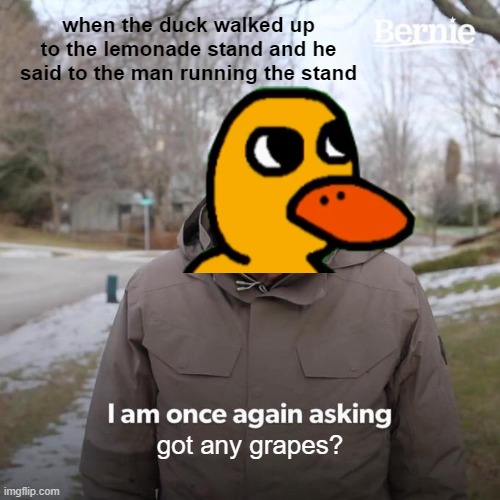 the duck song meme | when the duck walked up to the lemonade stand and he said to the man running the stand; got any grapes? | image tagged in memes,bernie i am once again asking for your support | made w/ Imgflip meme maker