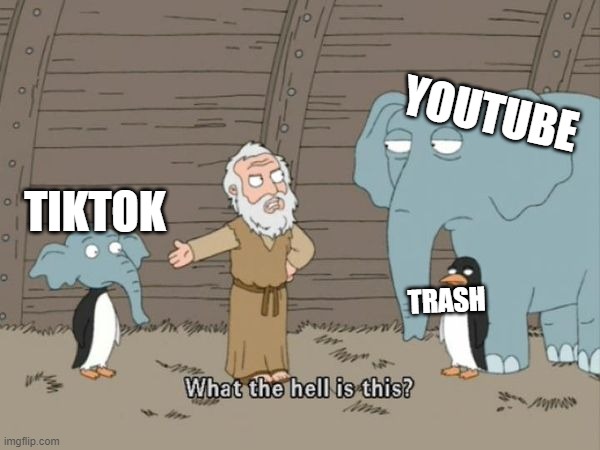 What the hell is this? | YOUTUBE; TIKTOK; TRASH | image tagged in what the hell is this | made w/ Imgflip meme maker