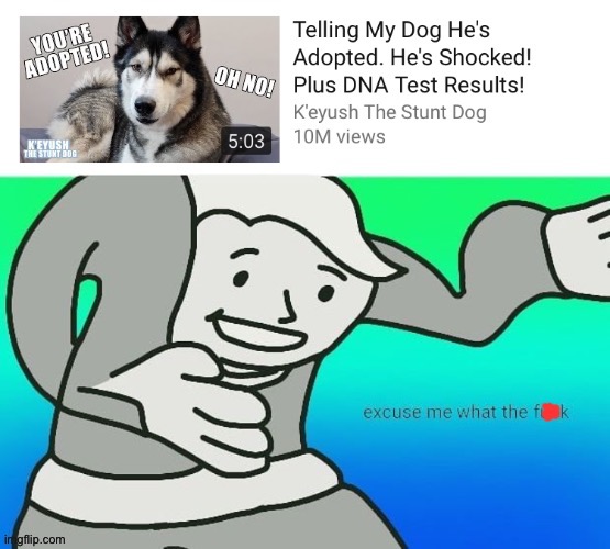 Sad dogo | image tagged in fallout boy excuse me wyf,memes,funny,dogs,youtube | made w/ Imgflip meme maker