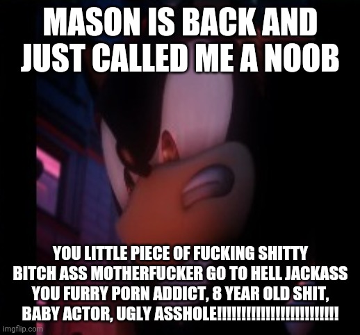 Pissed off shadow | MASON IS BACK AND JUST CALLED ME A NOOB; YOU LITTLE PIECE OF FUCKING SHITTY BITCH ASS MOTHERFUCKER GO TO HELL JACKASS YOU FURRY PORN ADDICT, 8 YEAR OLD SHIT, BABY ACTOR, UGLY ASSHOLE!!!!!!!!!!!!!!!!!!!!!!!!! | image tagged in pissed off shadow,memes,asshole,now listen here you little shit | made w/ Imgflip meme maker