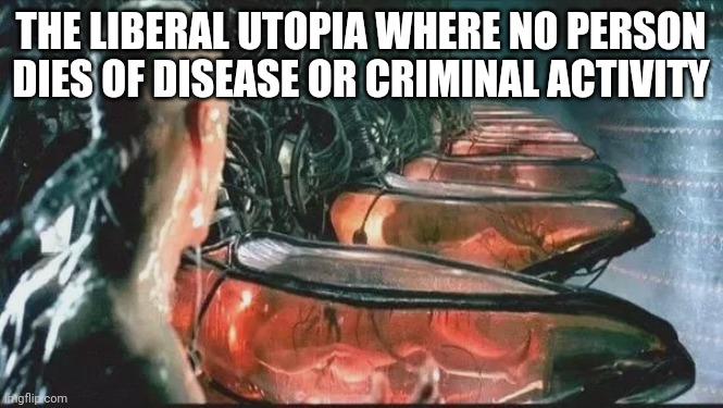 Zero acceptable deaths | THE LIBERAL UTOPIA WHERE NO PERSON DIES OF DISEASE OR CRIMINAL ACTIVITY | image tagged in liberal logic,liberals,death,life,reality,expectation vs reality | made w/ Imgflip meme maker