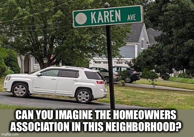 I would have to move | CAN YOU IMAGINE THE HOMEOWNERS ASSOCIATION IN THIS NEIGHBORHOOD? | image tagged in karen avenue,homeowners,karen,manager,move,memes | made w/ Imgflip meme maker