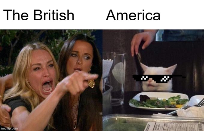 Woman Yelling At Cat | The British; America | image tagged in memes,woman yelling at cat | made w/ Imgflip meme maker