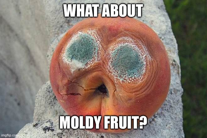Mold | WHAT ABOUT MOLDY FRUIT? | image tagged in mold | made w/ Imgflip meme maker