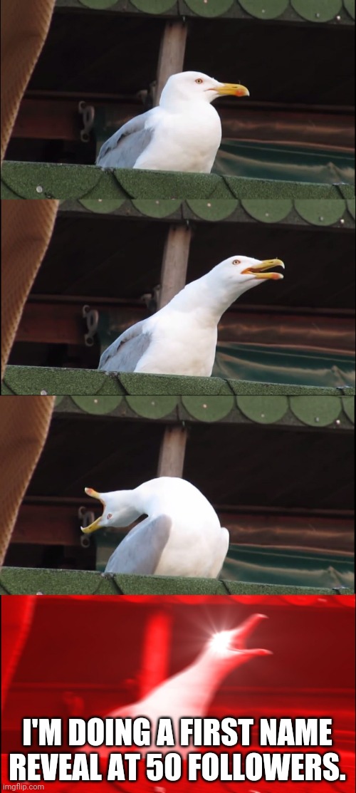 Inhaling Seagull | I'M DOING A FIRST NAME REVEAL AT 50 FOLLOWERS. | image tagged in memes,inhaling seagull | made w/ Imgflip meme maker