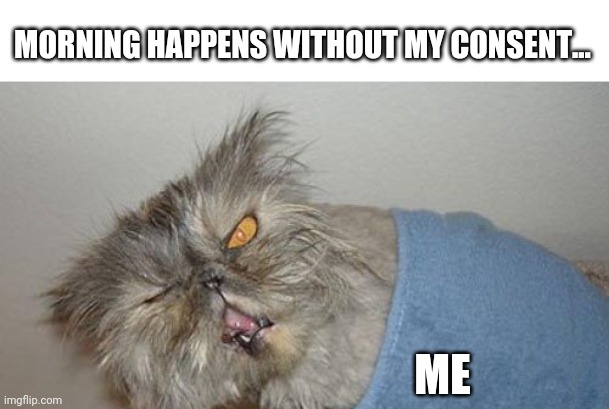 Mornings be like | MORNING HAPPENS WITHOUT MY CONSENT... ME | image tagged in good morning | made w/ Imgflip meme maker