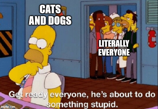 Animals on the internet | CATS AND DOGS; LITERALLY EVERYONE | image tagged in get ready he's about to do something stupid | made w/ Imgflip meme maker