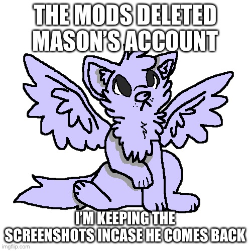 THE MODS DELETED MASON’S ACCOUNT; I’M KEEPING THE SCREENSHOTS INCASE HE COMES BACK | made w/ Imgflip meme maker