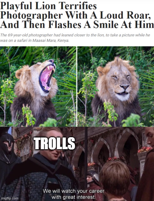  TROLLS | image tagged in we will watch your career with great interest,lion,funny animals,memes,trolling,funny | made w/ Imgflip meme maker