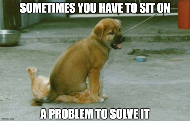 Have you had enough or shall I fart again | SOMETIMES YOU HAVE TO SIT ON; A PROBLEM TO SOLVE IT | image tagged in dogs,cats,memes,funny,2020,funny memes | made w/ Imgflip meme maker