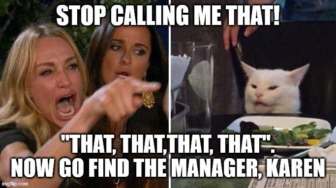Angry lady cat | STOP CALLING ME THAT! "THAT, THAT,THAT, THAT". NOW GO FIND THE MANAGER, KAREN | image tagged in angry lady cat | made w/ Imgflip meme maker