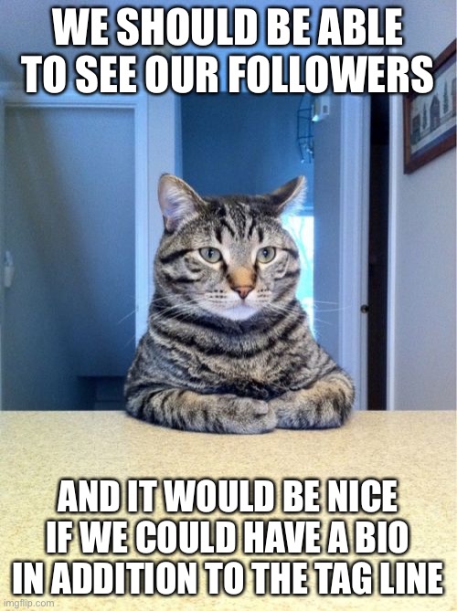 Take A Seat Cat Meme | WE SHOULD BE ABLE TO SEE OUR FOLLOWERS; AND IT WOULD BE NICE IF WE COULD HAVE A BIO IN ADDITION TO THE TAG LINE | image tagged in memes,take a seat cat | made w/ Imgflip meme maker