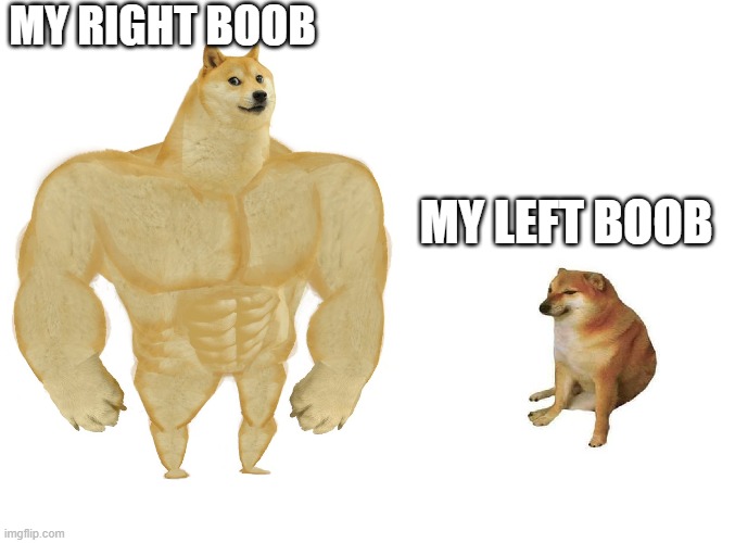 Big dog small dog | MY RIGHT BOOB; MY LEFT BOOB | image tagged in big dog small dog | made w/ Imgflip meme maker