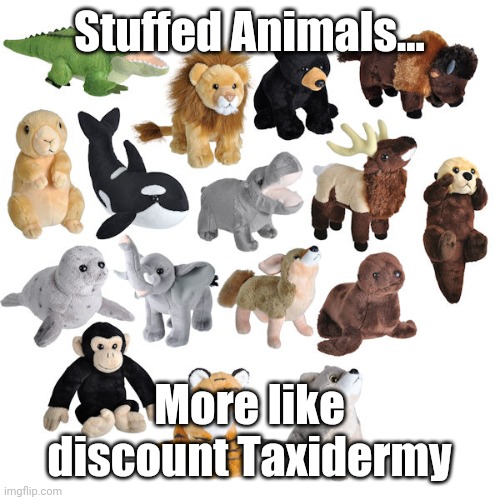 Just don't look | Stuffed Animals... More like discount Taxidermy | image tagged in animals | made w/ Imgflip meme maker