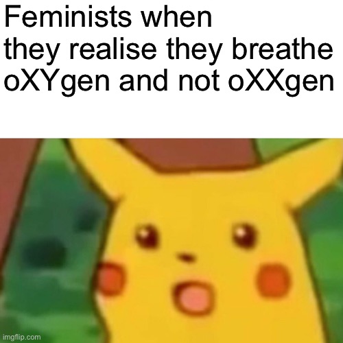 The audacity of some people | Feminists when they realise they breathe oXYgen and not oXXgen | image tagged in memes,surprised pikachu,triggered feminist | made w/ Imgflip meme maker