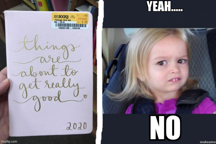 Wrong! | image tagged in coronavirus,2020,books | made w/ Imgflip meme maker