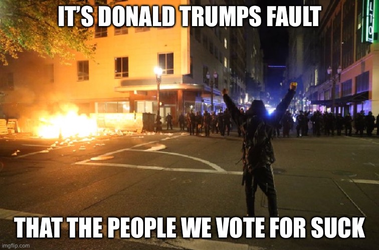 IT’S DONALD TRUMPS FAULT; THAT THE PEOPLE WE VOTE FOR SUCK | image tagged in liberals,liberal logic,libtards,riots,memes,funny | made w/ Imgflip meme maker