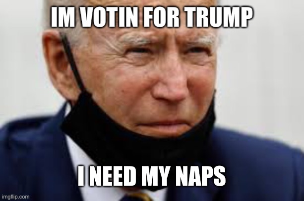 Screw This | I NEED MY NAPS | image tagged in biden vote,for trump,hiden bidens leavin,the coward if the congress,china owned | made w/ Imgflip meme maker