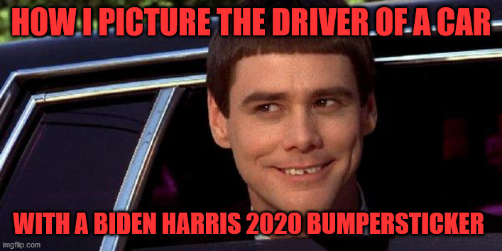 Dumb Driver | HOW I PICTURE THE DRIVER OF A CAR; WITH A BIDEN HARRIS 2020 BUMPERSTICKER | image tagged in dumb and dumber | made w/ Imgflip meme maker