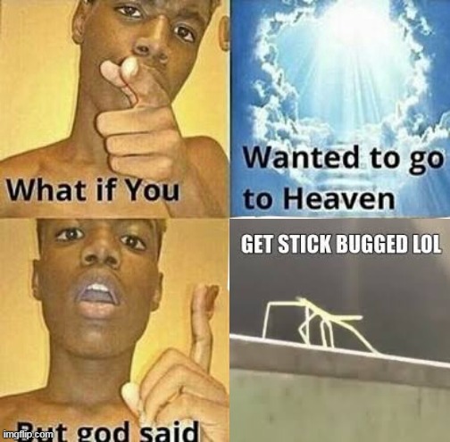 stick bugged?... why? | image tagged in what if you wanted to go to heaven | made w/ Imgflip meme maker
