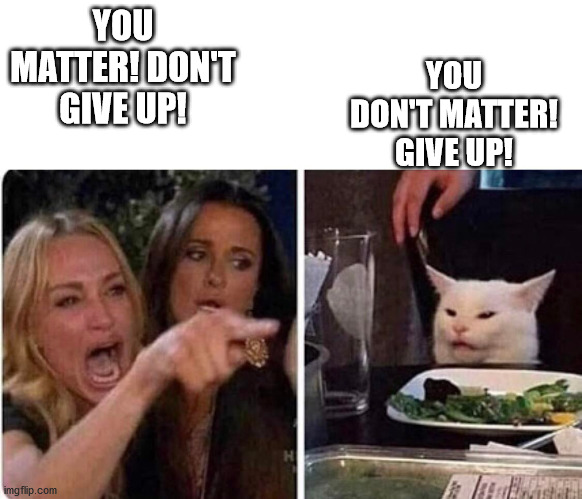 Lady screams at cat | YOU MATTER! DON'T GIVE UP! YOU DON'T MATTER! GIVE UP! | image tagged in lady screams at cat | made w/ Imgflip meme maker