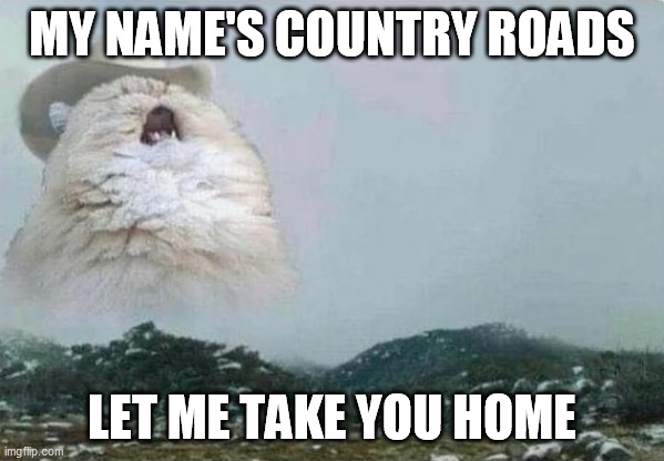 Country Cat | MY NAME'S COUNTRY ROADS; LET ME TAKE YOU HOME | image tagged in country cat | made w/ Imgflip meme maker