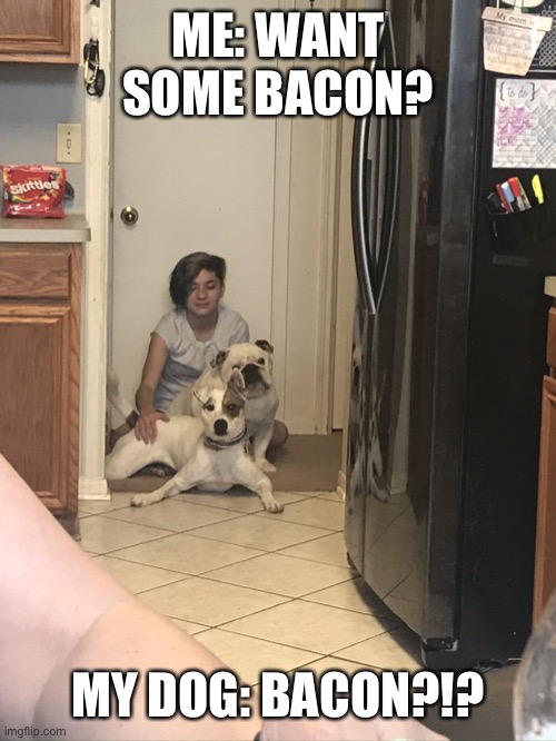 Wants some bacon? | ME: WANT SOME BACON? MY DOG: BACON?!? | image tagged in wants some bacon | made w/ Imgflip meme maker