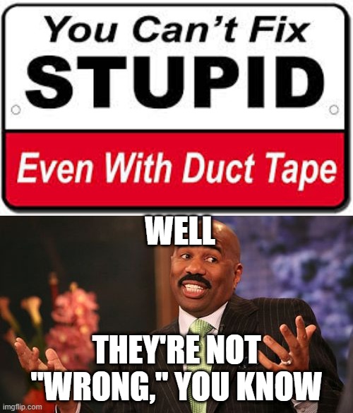 true but shouldn't say it | WELL; THEY'RE NOT "WRONG," YOU KNOW | image tagged in memes,steve harvey,stupid signs,stupid,duct tape,funny | made w/ Imgflip meme maker
