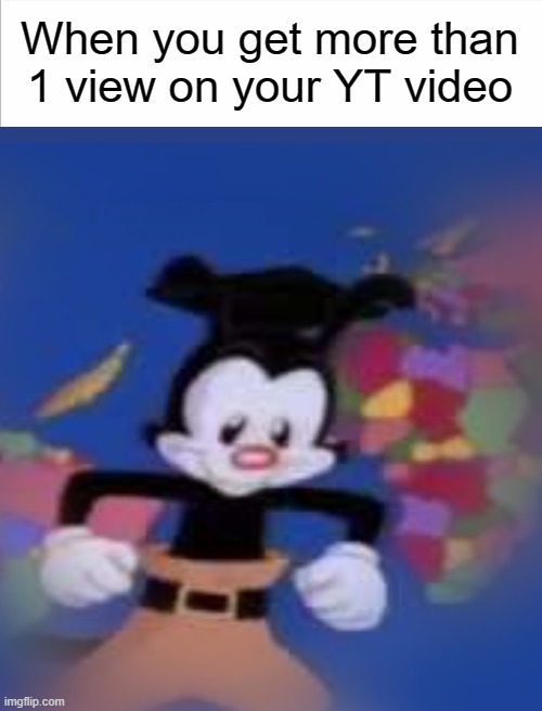 YAKKO | When you get more than 1 view on your YT video | image tagged in yakko,relatable | made w/ Imgflip meme maker