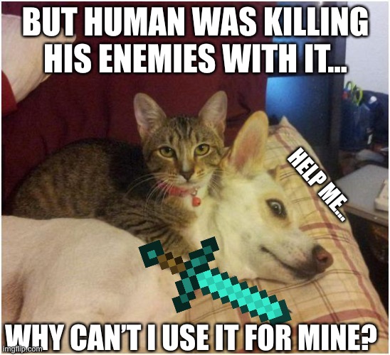 But human was using it first... | BUT HUMAN WAS KILLING HIS ENEMIES WITH IT... HELP ME... WHY CAN’T I USE IT FOR MINE? | image tagged in warning killer cat | made w/ Imgflip meme maker