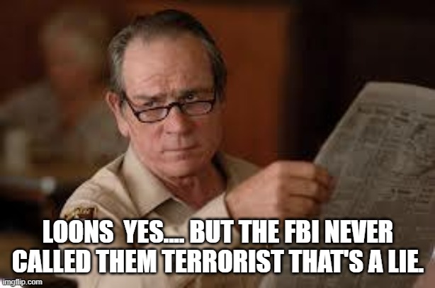 no country for old men tommy lee jones | LOONS  YES.... BUT THE FBI NEVER CALLED THEM TERRORIST THAT'S A LIE. | image tagged in no country for old men tommy lee jones | made w/ Imgflip meme maker