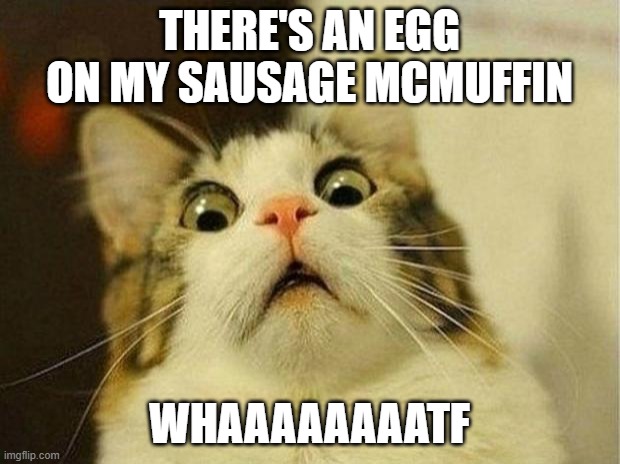Conversations in the Drive Through | THERE'S AN EGG ON MY SAUSAGE MCMUFFIN; WHAAAAAAAATF | image tagged in memes,scared cat,mcdonalds,egg | made w/ Imgflip meme maker
